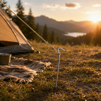 tent stakes