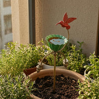 Metal Hummingbird Feeder Curved Arms Hummingbird Feeder Decorative Botanical