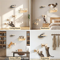 Wall Mounted Cat Shelf and Moon Perch, Solid Wood Cat Furniture for Indoor Pets, 2-Piece Simple Design Saving DIY Shelves for Medium Size Cats