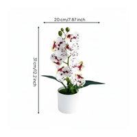 Artificial Bloom Plant Maintenanceno-Maintenance Phalaenopsis Flower Pot