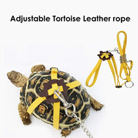 Adjustable Turtle Harness and Mini Skateboard Set