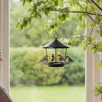 Hanging Bird Feeder Metal Bird Feeder with Tray Sturdy for Garden, Backyard
