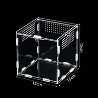 Acrylic Amphibian Box Secure Lock Acrylic Amphibian Enclosure Abrasion Resistant