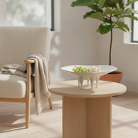 Irregular Decorative Tray Polished Catchall Elegant for Tabletop