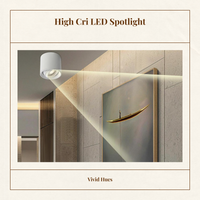 LED Ceiling Spotlight, Adjustable, Anti-Glare, Modern Accent