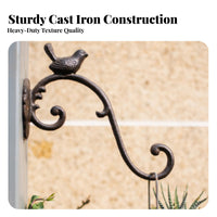 Cast Metal Avian Hook Multi Functional Cast Iron Wall Simple Installation to Install Decorative Plant Hanger for Outdoor