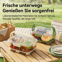 2-Pack Lunch Box, 2200ml Snack Box with Compartments and Carry Handle, Leak-Proof Meal Prep Boxes with Ice Pack for Camping & Outdoor