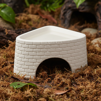 Reptile Hideout and Humidifying Cave for Lizards, Spiders, and Snakes