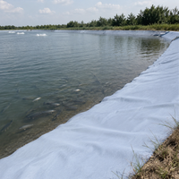 Geotextile Weed Control Fleece, Water-permeable Geomembrane for Terraces and Garden Paths, Tear-resistant Black Non-woven Fabric for Road Construction and Pond Construction