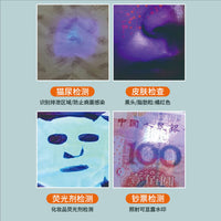 宠物电推剪剃毛器四合一猫咪除毛磨甲器狗狗理发器剃脚毛美容工具