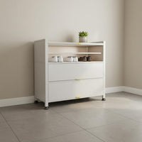 Steel Shoe Storage Cabinet Space Saving Tipping Bucket Footwear Storage Unit Adjustable Shelves for Hallway