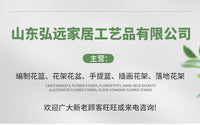 圆形悬挂花盆现代简约挂墙装饰金色花盆白色ins阳台悬吊花盆现货
