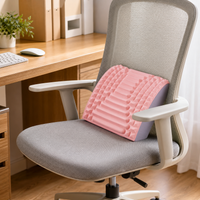 Massage Back Trainer, Lumbar Posture Corrector, for Yoga and Office, with 109 Massage Points, Pink