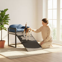 Bedside Pet Companion Chair Sturdy Metal Frame Raised Pet Sofa with Ramp