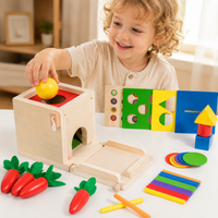 Wooden Activity Box, Fine Motor Skill Toys, Child Development, Hand-Eye Coordination, Educational Toy