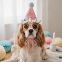 Pet Birthday Hat and Scarf Set for Small Dogs and Cats, Knitted Photo Prop