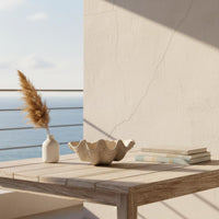 Clamshell Decor Bowl Artistic Asymmetry Clam-Shaped Decor Bowl Texture Table Ornament for Homestay