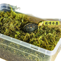 乌龟冬眠套装龟过冬椰土苔藓草沙土垫材乌龟保温饲养箱乌龟冬眠箱