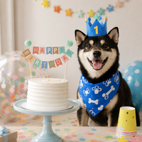 party banner set