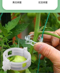 绿植果树植物固定夹卡扣藤蔓固定器秧苗爬藤支撑杆果蔬秧苗吊夹