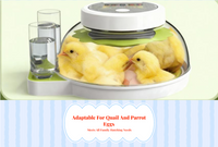 Egg Incubator, Auto Temp & Humidity, Hatching Birds