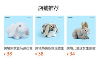 Lifelike Rabbit Plush Toy Stuffed Animal Easter Lop Ear Rabbit Doll for Children