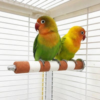 Parrot Perch Straight Rod Bird Stand, Sanded Bird Grinding Perch for Paw Grinding, Parrot Cage Perch with Bolt and Washer for Small Medium Birds