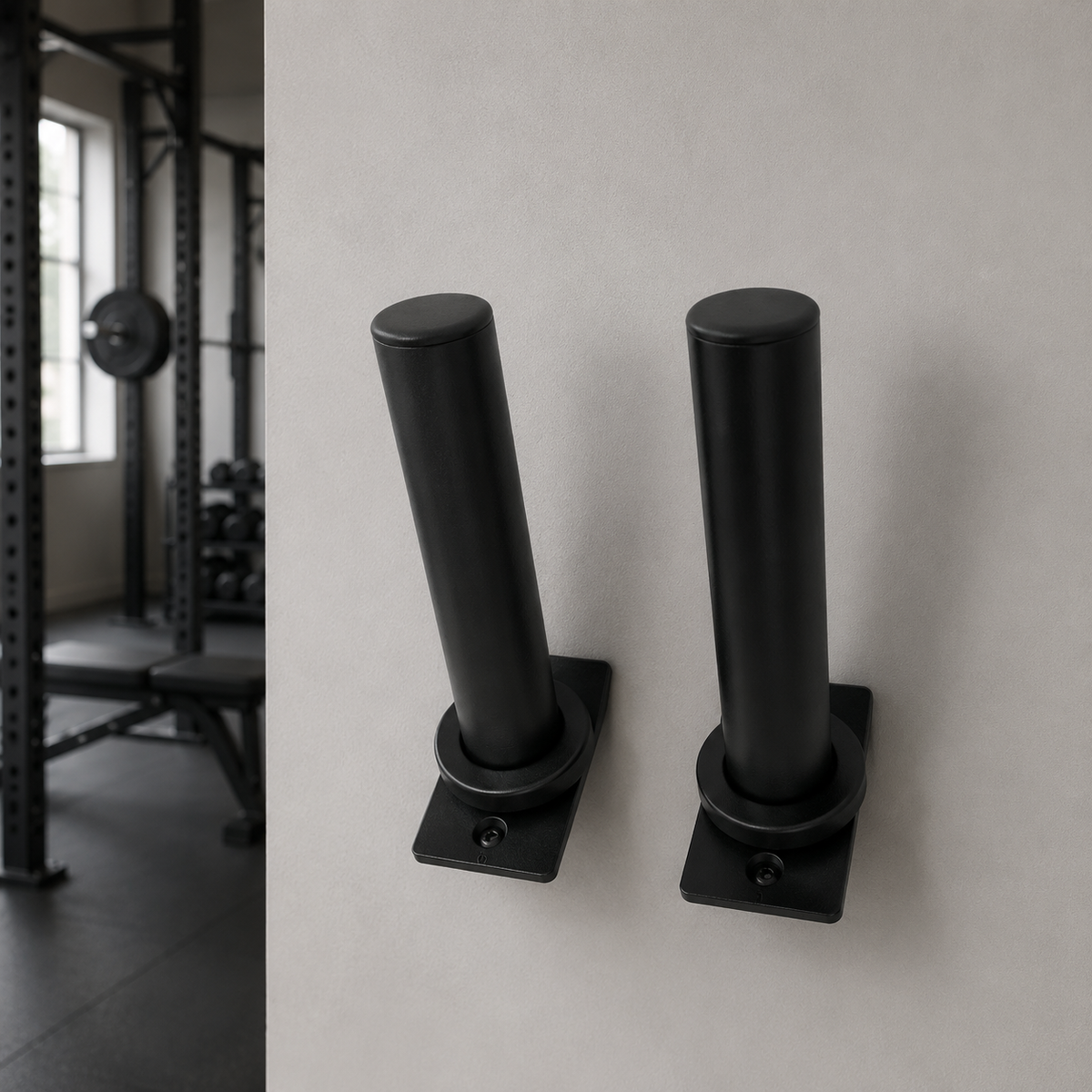 weight plate storage posts