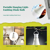 Dimmable LED hanging light, USB