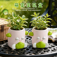 蔬菜精灵多肉花盆创意个性绿植花器家用阳台桌面装饰盆栽摆件