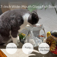 Glass Cat Bowl Fish Design Wide Mouth Anti-Tip