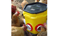 4 Pieces Round Poultry Feeder Spill Resistant Farm Supply Easy to Clean