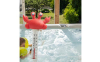 Turtle Pool Thermometer Easy to Read Buoyant Pool Thermometer Spa Temperature Gauge for Young Children, Infants, Bathtub, Aquarium
