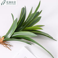 仿真绿植 蕙兰叶 手感软胶剑兰叶蝴蝶兰配草盆栽家居客厅装饰插花