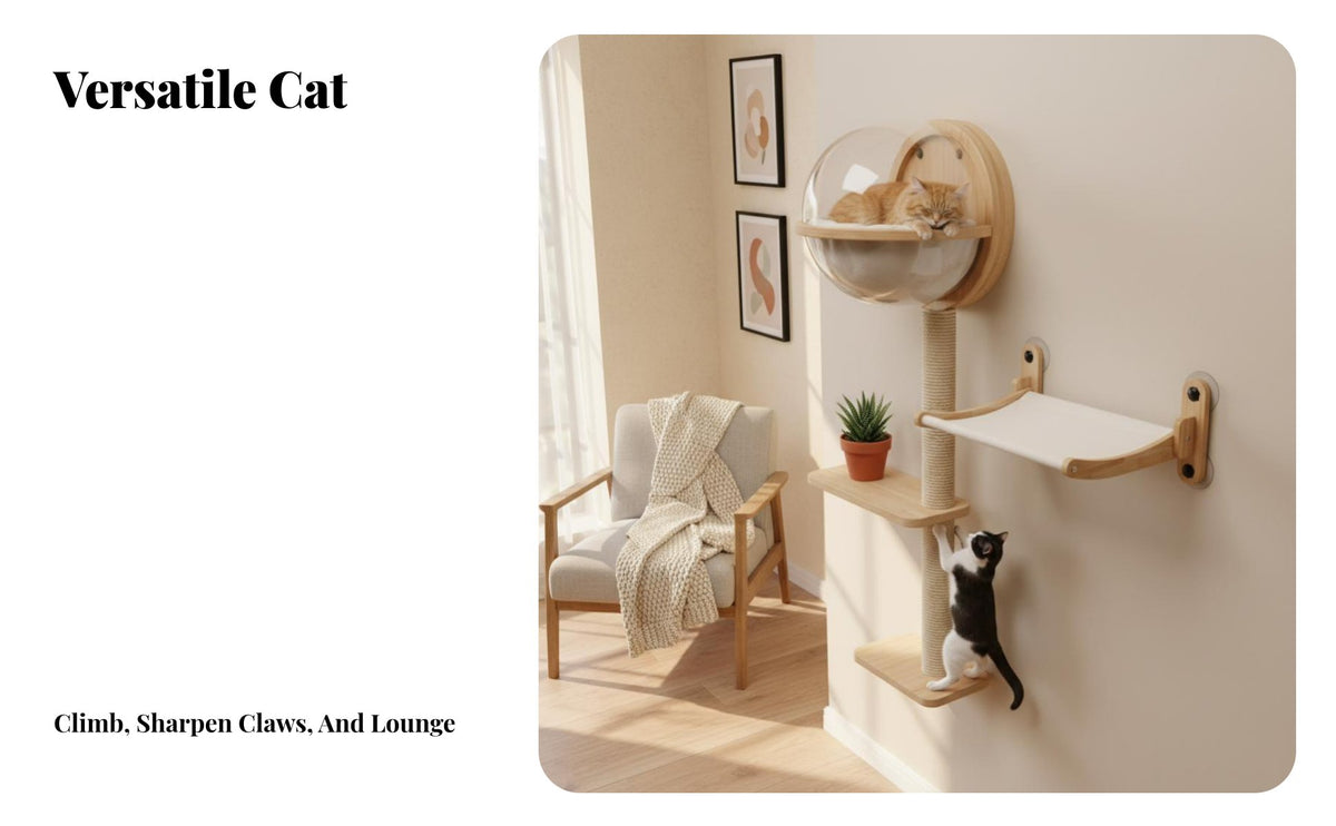 personalizedizable Cat Shelf System Drill Installation personalizedizable Cat Hexagon Space-Saving Pet Furniture for Apartment Dwellers, Indoors, Living Room, Playroom