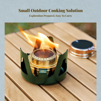 Dual-fuel stainless steel mini stove