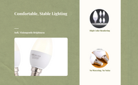 E14 LED Candle Bulb 800lm 2700K