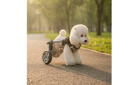 With Hind-Leg Support Lightweight Adjustable Pet Two-Wheel Mobility Aid for Dogs, Small Pets, Walks, Rehabilitation, Indoor Use