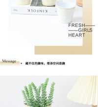 Mini Vintage Iron Bucket Flower Pot for Succulents, Desktop Decor