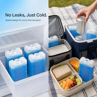 Reusable Ice Packs for Coolers, Food Preservation, and Temperature Control