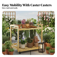 2-Tier Rolling Planter Shelf Movable with Wheels 2-Tier Rolling Plant Cart