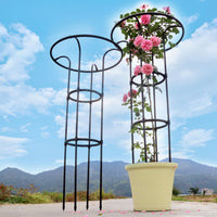 Third Generation Plant Climbing Frame Umbrella Type for Roses, Thickened Garden Support, Iron Pipe with Plastic Coating
