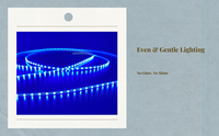 RGB strip: flexible, music sync