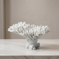 Coral Sculpture Textured Coral Decor Coastal for Living Room, Hotel Lobby