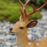 2 Pieces Resin Deer Figurine Lifelike Details Fawn Ornament Set Realistic Design