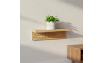 Wall Plant Shelf Multi Purpose Trophy and Award Display Shelf Space Saving Trophy and Award Display Rack for Living Room, Bedroom, Entrance