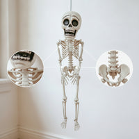 Hanging Skeleton Portable Skeleton with Movable Joints Durable