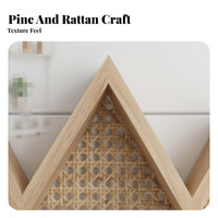Geometric Display Ledge Nordic Design Plant Holder Hydroponic Planter