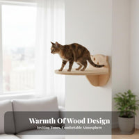 Pegboard Cat Climber Transparent Space Capsule personalizedizable Cat Activity vertical panel-mounted DIY Layout Pet Furniture for People with Small Homes