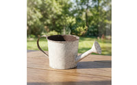 Watering Can with Long Spout Textured Vessel Modern for Balcony